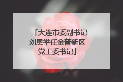 大连市委副书记刘恩举任金普新区党工委书记