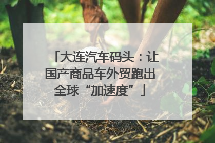 大连汽车码头：让国产商品车外贸跑出全球“加速度”