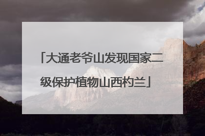 大通老爷山发现国家二级保护植物山西杓兰