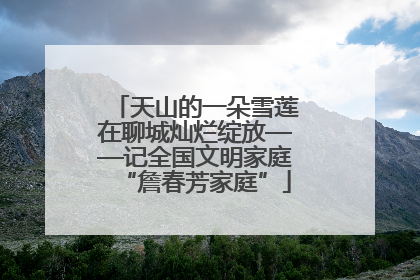 天山的一朵雪莲在聊城灿烂绽放——记全国文明家庭“詹春芳家庭”