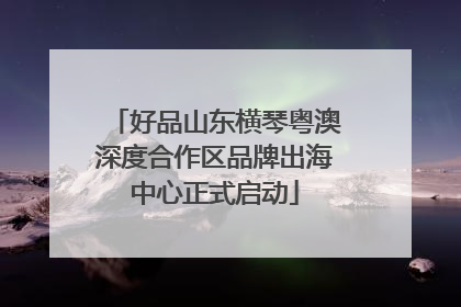 好品山东横琴粤澳深度合作区品牌出海中心正式启动