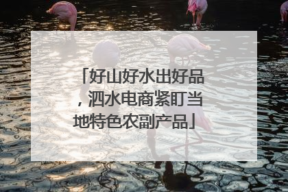 好山好水出好品，泗水电商紧盯当地特色农副产品