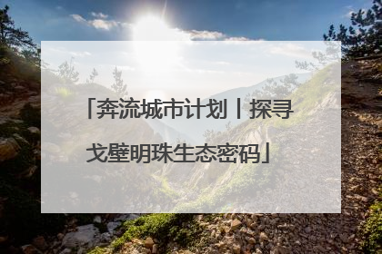 奔流城市计划丨探寻戈壁明珠生态密码