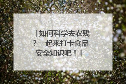 如何科学去农残？一起来打卡食品安全知识吧！