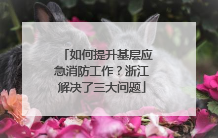 如何提升基层应急消防工作？浙江解决了三大问题