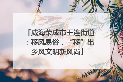 威海荣成市王连街道：移风易俗，“移”出乡风文明新风尚