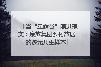 当“星露谷”照进现实：康旅集团乡村旅居的多元共生样本
