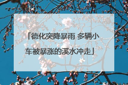德化突降暴雨 多辆小车被暴涨的溪水冲走