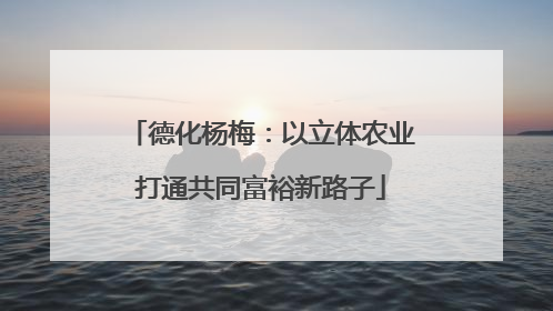 德化杨梅：以立体农业打通共同富裕新路子