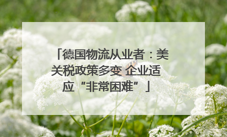 德国物流从业者：美关税政策多变 企业适应“非常困难”