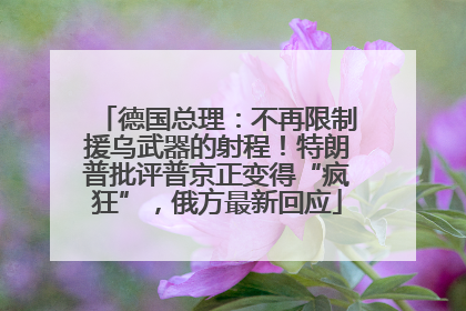 德国总理：不再限制援乌武器的射程！特朗普批评普京正变得“疯狂”，俄方最新回应