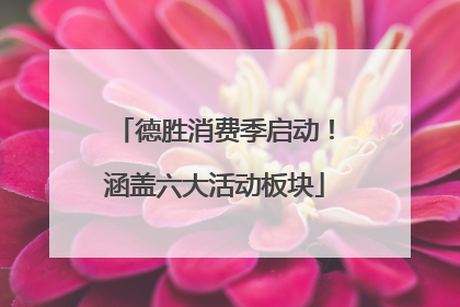 德胜消费季启动！涵盖六大活动板块