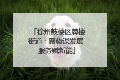徐州鼓楼区牌楼街道：聚势谋发展 服务赋新能