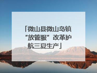 微山县微山岛镇“放管服”改革护航三夏生产