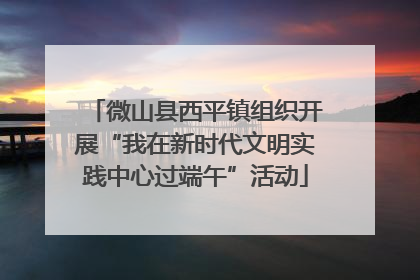 微山县西平镇组织开展“我在新时代文明实践中心过端午”活动