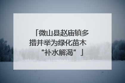 微山县赵庙镇多措并举为绿化苗木“补水解渴”