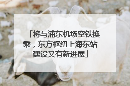 将与浦东机场空铁换乘，东方枢纽上海东站建设又有新进展