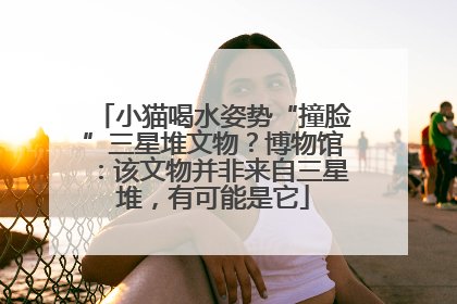小猫喝水姿势“撞脸”三星堆文物？博物馆：该文物并非来自三星堆，有可能是它