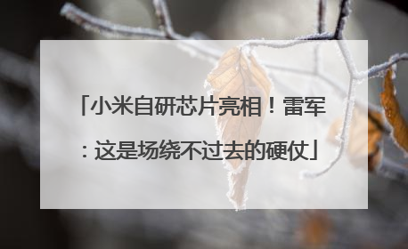 小米自研芯片亮相！雷军：这是场绕不过去的硬仗