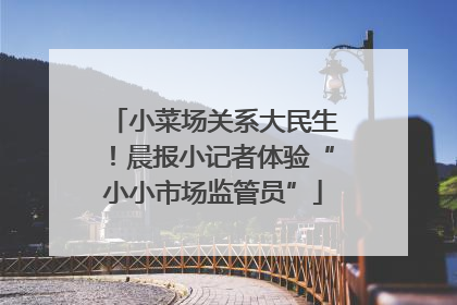 小菜场关系大民生！晨报小记者体验“小小市场监管员”