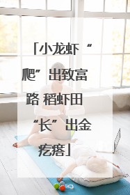 小龙虾“爬”出致富路 稻虾田“长”出金疙瘩