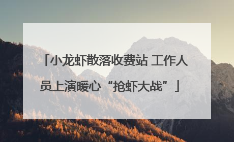 小龙虾散落收费站 工作人员上演暖心“抢虾大战”