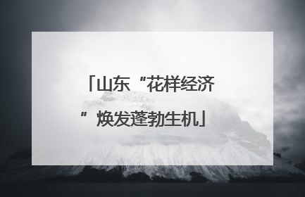 山东“花样经济”焕发蓬勃生机