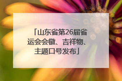 山东省第26届省运会会徽、吉祥物、主题口号发布