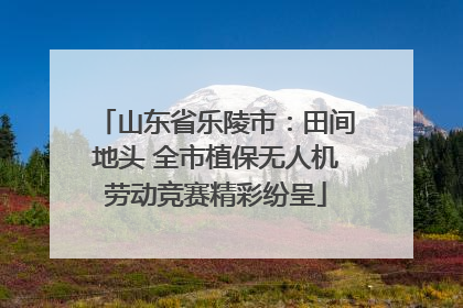 山东省乐陵市：田间地头 全市植保无人机劳动竞赛精彩纷呈