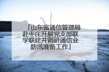 山东省通信管理局赴枣庄开展党支部联学联建并调研通信业防汛准备工作
