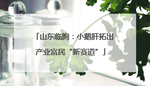 山东临朐：小鹅肝拓出产业富民“新赛道”