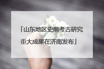 山东地区史前考古研究重大成果在济南发布