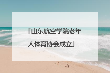 山东航空学院老年人体育协会成立
