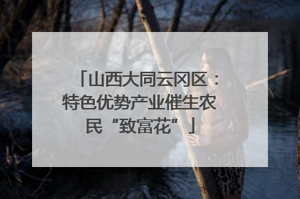 山西大同云冈区：特色优势产业催生农民“致富花”