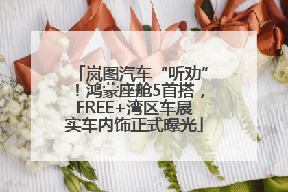 岚图汽车“听劝”！鸿蒙座舱5首搭，FREE+湾区车展实车内饰正式曝光