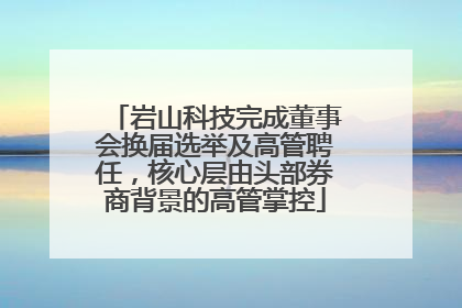 岩山科技完成董事会换届选举及高管聘任，核心层由头部券商背景的高管掌控