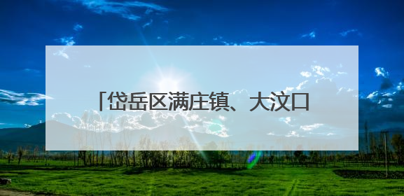 岱岳区满庄镇、大汶口工业园：完善制度、贴心护航、强化监管，打造优质营商“强磁场”