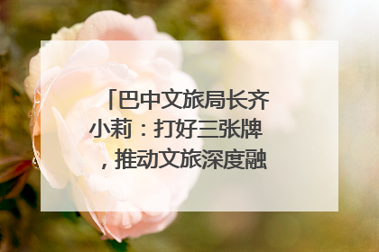巴中文旅局长齐小莉：打好三张牌，推动文旅深度融合｜文旅局长说