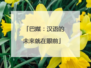 巴媒：汉语的未来就在眼前