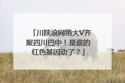 川陕渝网络大V齐聚四川巴中！是谁的红色基因动了？