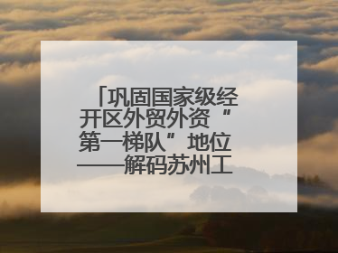 巩固国家级经开区外贸外资“第一梯队”地位——解码苏州工业园区样本