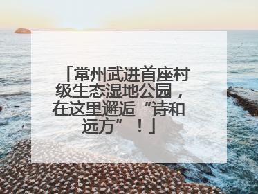 常州武进首座村级生态湿地公园，在这里邂逅“诗和远方”！