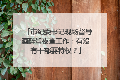 市纪委书记现场督导酒醉驾夜查工作：有没有干部耍特权？