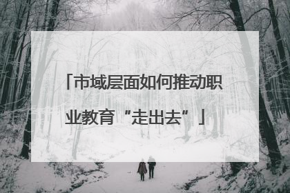 市域层面如何推动职业教育“走出去”