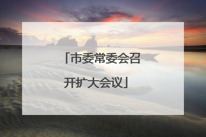 市委常委会召开扩大会议