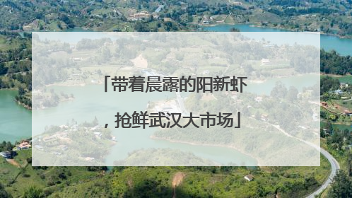 带着晨露的阳新虾，抢鲜武汉大市场