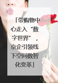 带购物中心走入“数字世界”，京企引领线下空间数智化变革
