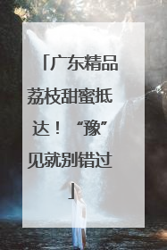广东精品荔枝甜蜜抵达！“豫”见就别错过