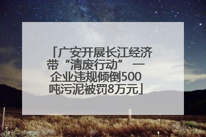 广安开展长江经济带“清废行动” 一企业违规倾倒500吨污泥被罚8万元