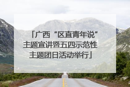 广西“区直青年说”主题宣讲暨五四示范性主题团日活动举行